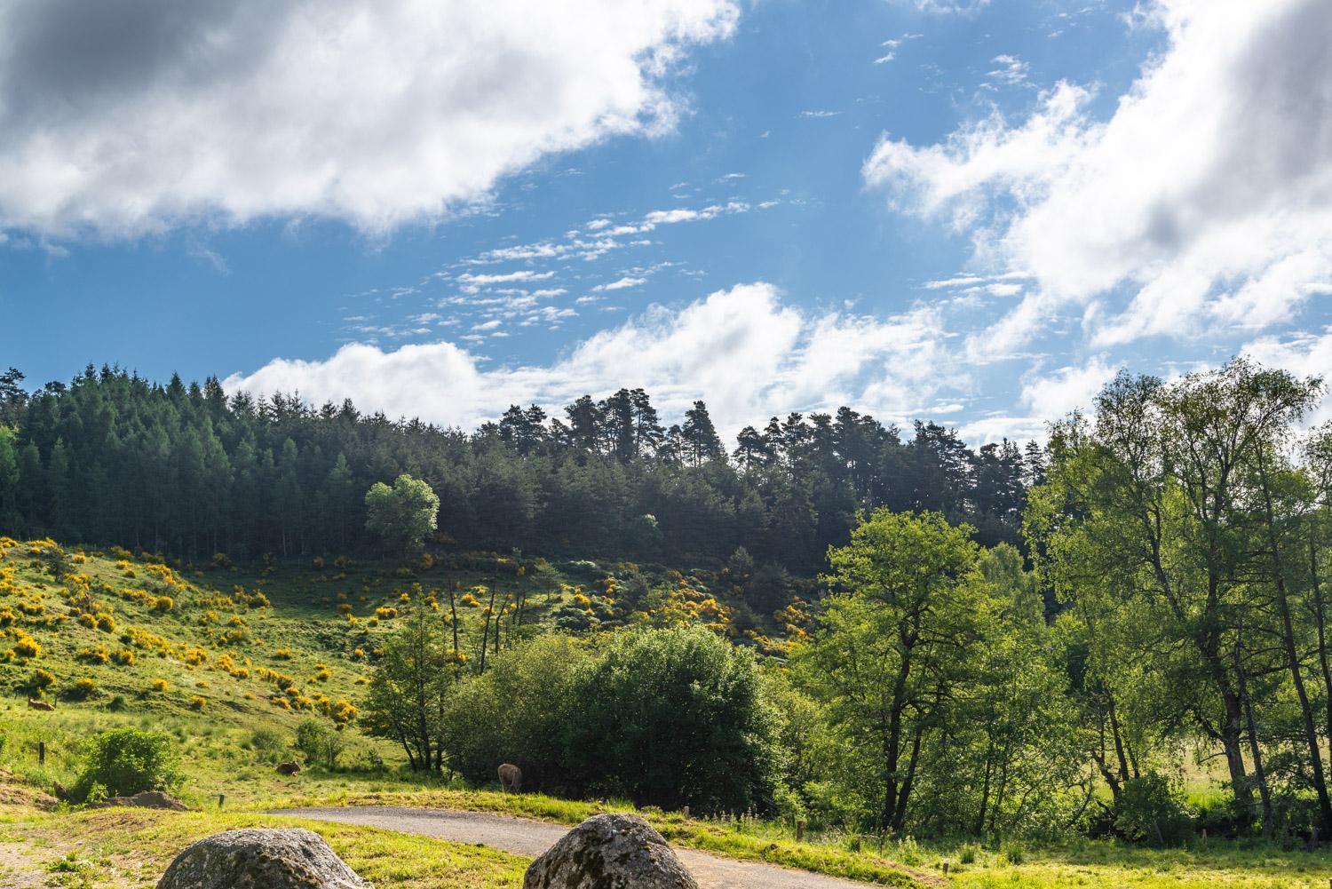 Gite De La Grange - Domaine De Coulagnettes Serverette Экстерьер фото